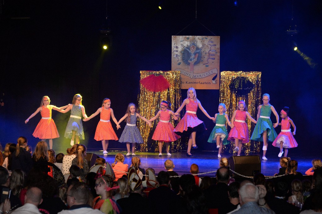 ../Images/Dansmariekefestival 2019 300.jpg